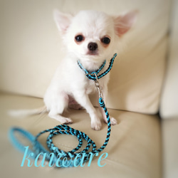 パラコードリード 大型犬 中型犬 ダブルハート編みリード リード・首輪