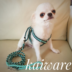 パラコード 犬 カート用 ショートリード no.45 ショートリード パラコードリード カート用リード カフェリード