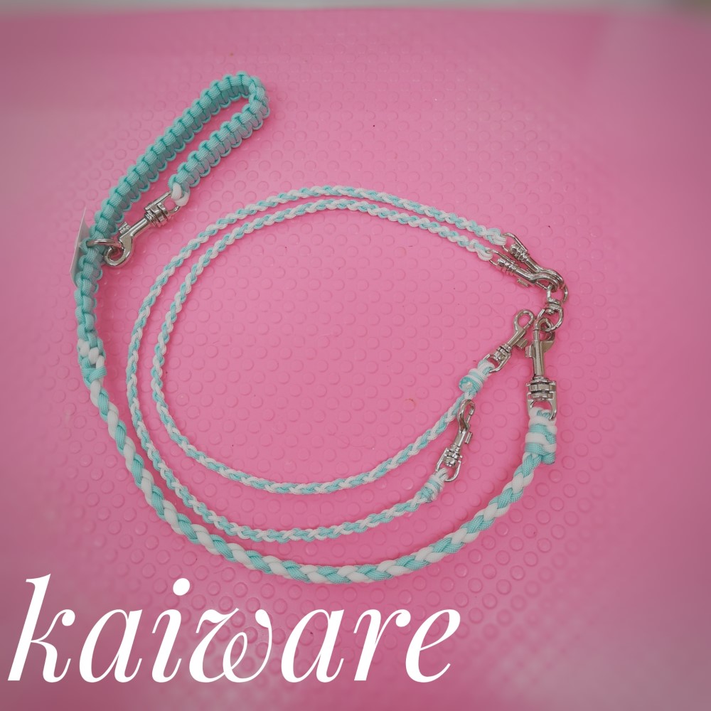 ちわわ二頭引きリード パラコード二頭引きリード　絡みずらいリード かわいい 小型犬 ホワイト×ミントグリーン✨120ｃｍ