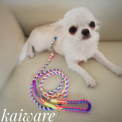 パラコードリード 大型犬 中型犬 ダブルハート編みリード リード・首輪