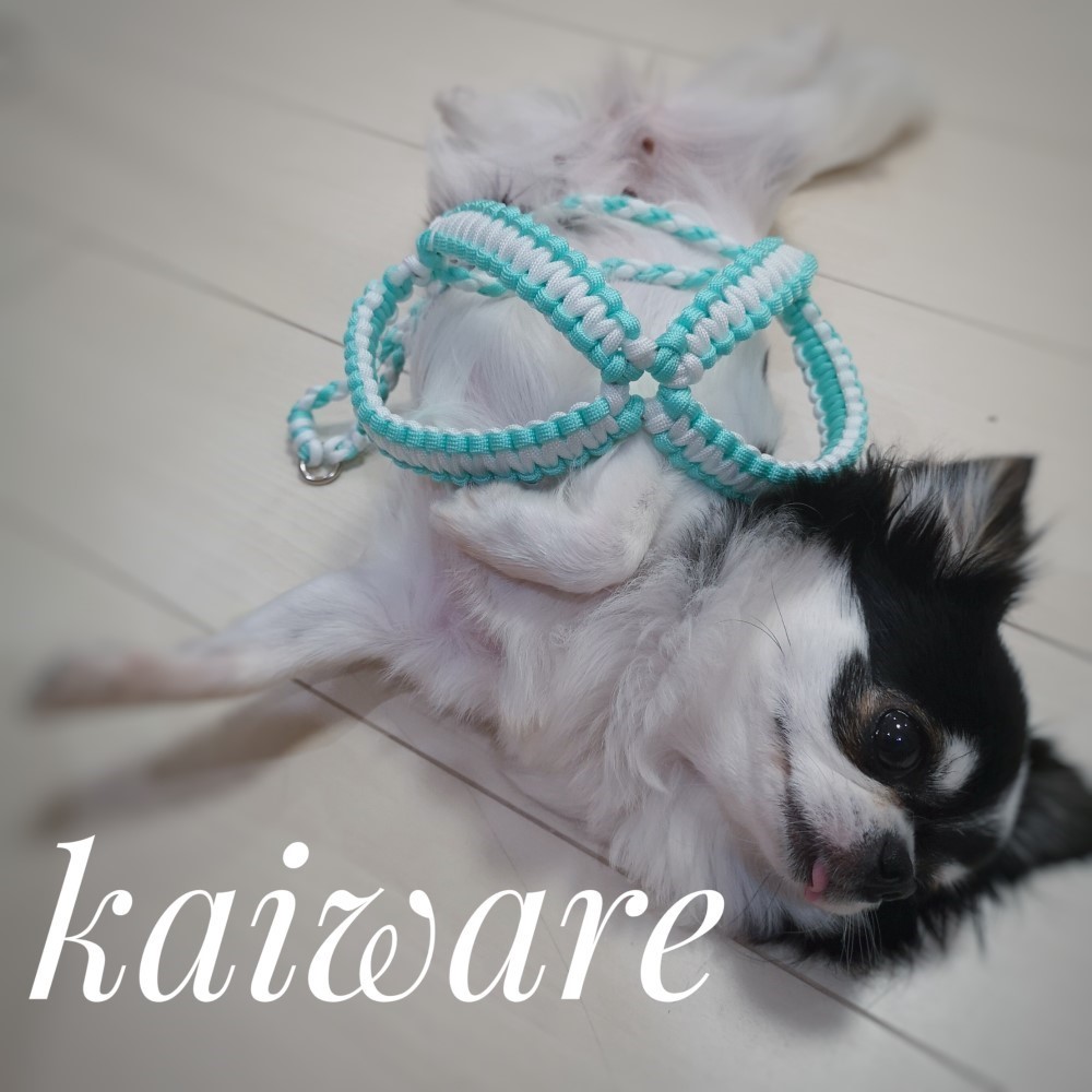 犬のハーネスのみMサイズ 軽くてかわいいパラコード  トイプードル ダックス シーズー マルチーズ ポメラニア小型犬用