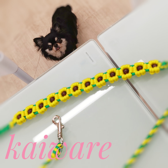 ひまわり　パラコードシンプルハンディリード&ジョイントリード ひまわり付き犬用リード（夏デザインひまわり）首輪とお揃いパラ