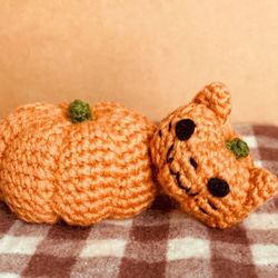 猫耳かぼちゃ＆大きなかぼちゃ【あみぐるみ】 1枚目の画像
