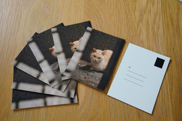 [客製] 客製十二張明信片 - 故事明信片 客訂 第1張的照片