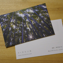[ストーリーはがき2019]嵐山竹林 2枚目の画像