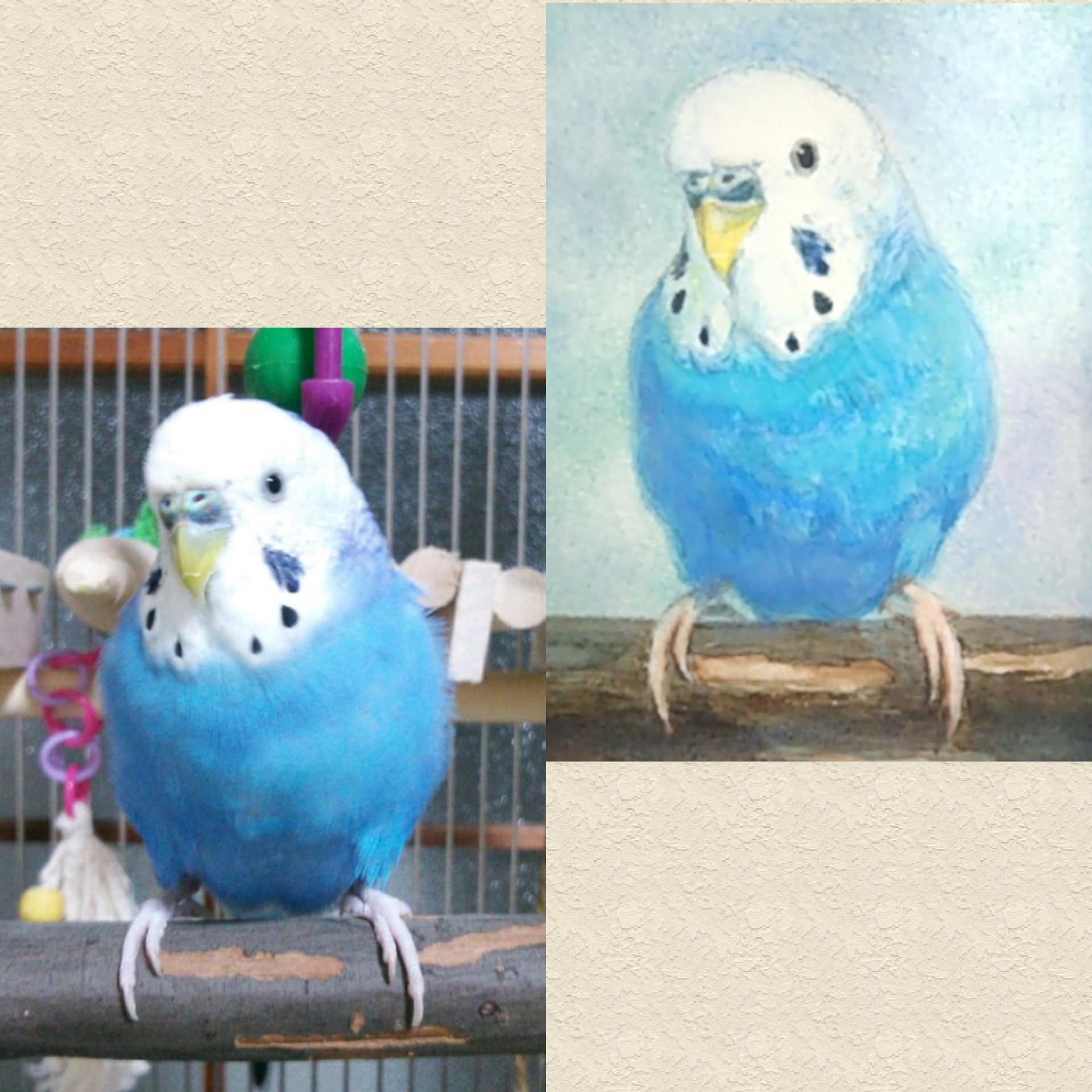 インコ 絵画 手描き 大型 額縁 インコ 絵画 手描き 大型 額縁 インコ 絵画 手描き 大型 額縁
