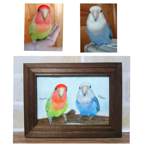 コザクラインコの似顔絵 【水彩画/額付き】 絵画 chokotto* 通販