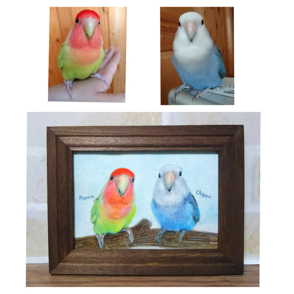 コザクラインコと女性 S8 油彩画 人物画 絵画 コザクラインコと女性 S8 油彩画 人物画 絵画 人物画#12 女性の