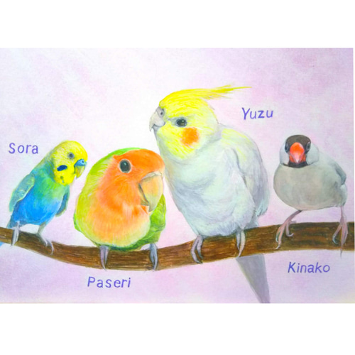 インコの似顔絵【水彩画/額付き】 絵画 chokotto* 通販 8300570