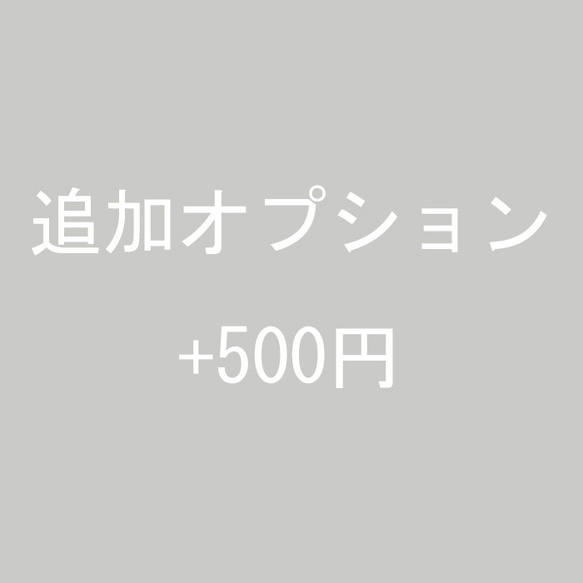 【追加オプション】+500円 1枚目の画像