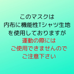 【送料無料】【セール】夏マスク　機能性Tシャツ生地使用　アジャスター付　女性向けサイズ　立体【E】 4枚目の画像