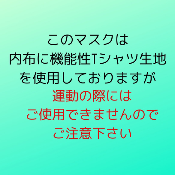 【送料無料】【セール】夏マスク　機能性Tシャツ生地使用　アジャスター付　ジュニアサイズ　立体【F】 4枚目の画像