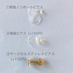 べっ甲プレート×大きめメタルリング　樹脂ノンホールピアス（イヤリング/ピアス） 3枚目の画像