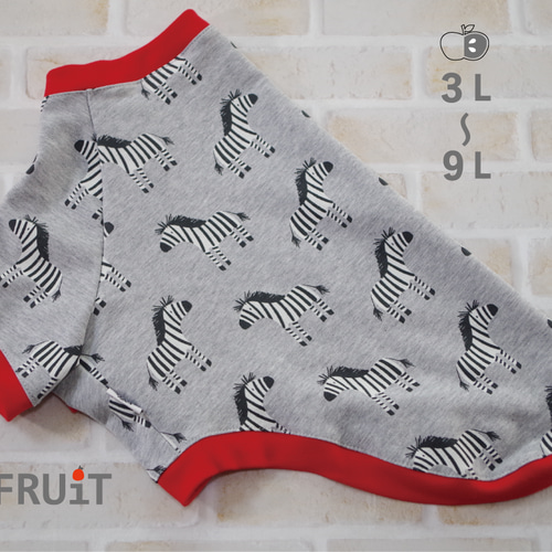 大型犬服 ラグランTシャツ 【専用】 set89aa.jpg