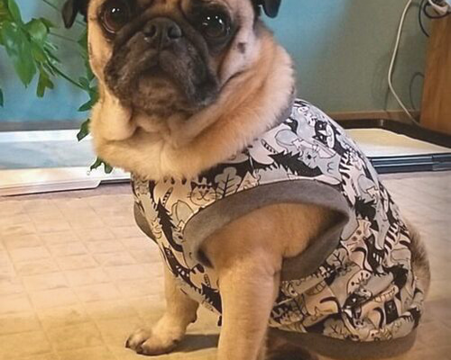 1_51bfeb983f59769c1ef6d8086687