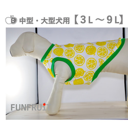 【３L～９L】オレンジ柄〈ノースリーブ〉 Tシャツ（タンクトップ）【中型犬・大型犬 用】犬服 1枚目の画像
