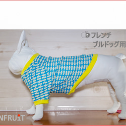 フレンチブルドッグ・パグ 用【フレブル 犬服】(袖付き) リーフ柄（アオベース）ラグランTシャツ　S～L 2枚目の画像