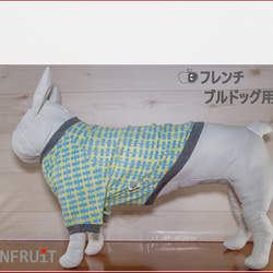 フレンチブルドッグ・パグ 用【フレブル 犬服】(袖付き) リーフ柄（キイロベース）ラグランTシャツ　S～L 2枚目の画像
