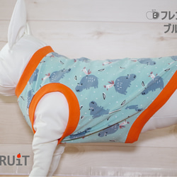 ✻生地ページ④✻ 犬服 ハンドメイド