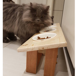 【辰宇木匠】簡約北歐風原木寵物餐桌 第3張的照片