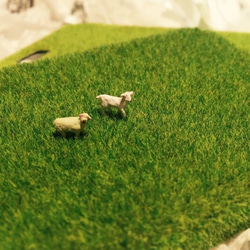 移動情況下，山羊的羊的草坪 第1張的照片