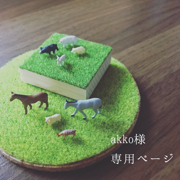 akko様専用ページ 1枚目の画像