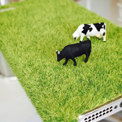 手機套牛的草坪 第2張的照片