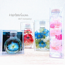 ハーバリウム　Ⅾancing flowers 踊る花たち　 3枚目の画像