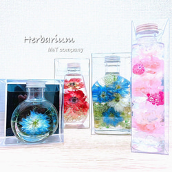 ハーバリウム　Ⅾancing flowers 踊る花たち　 5枚目の画像