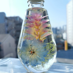 てんてん様❁︎オーダー　ハーバリウム　ஐ*。:° elementarium｜エレメンタリウム (@elementarium_life