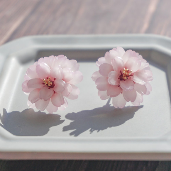 八重桜の耳飾り 1枚目の画像