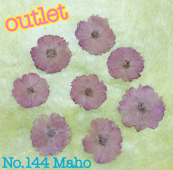 ♡outlet♡押し花素材♡八重桜♡ 1枚目の画像