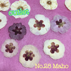 ♡outlet♡梅の花♡押し花素材♡ 3枚目の画像