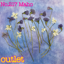 ♡outlet♡押し花素材♡野スミレ♡ 2枚目の画像