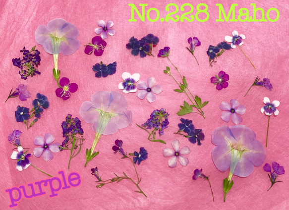 ♡押し花素材♡purple♡お花セット♡ 1枚目の画像