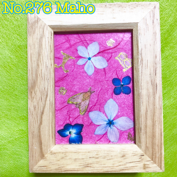 押し花作品 チューリップ 押し花｜花材セット 】F-217 | BLOOM MAISON
