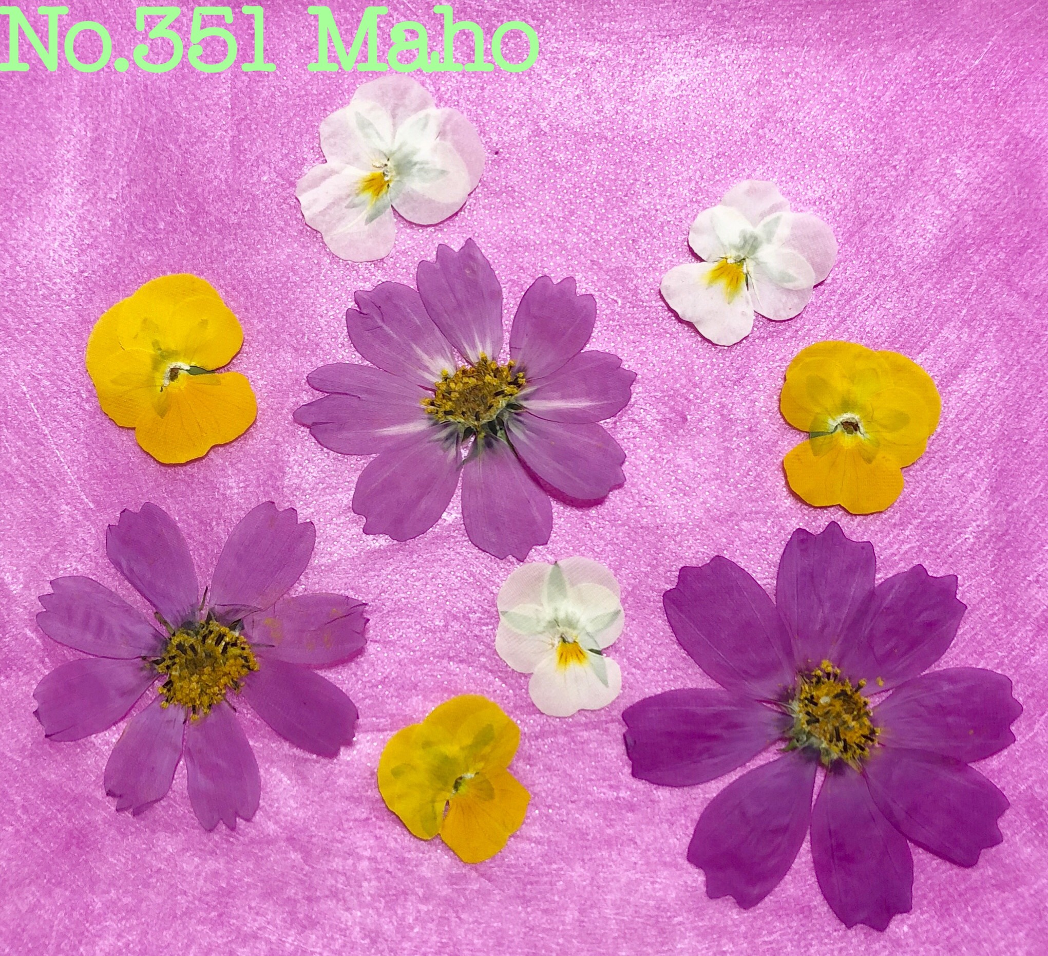 コスモスさま専用 クラッシュゲート クックボックス 収納 ACE コスモス