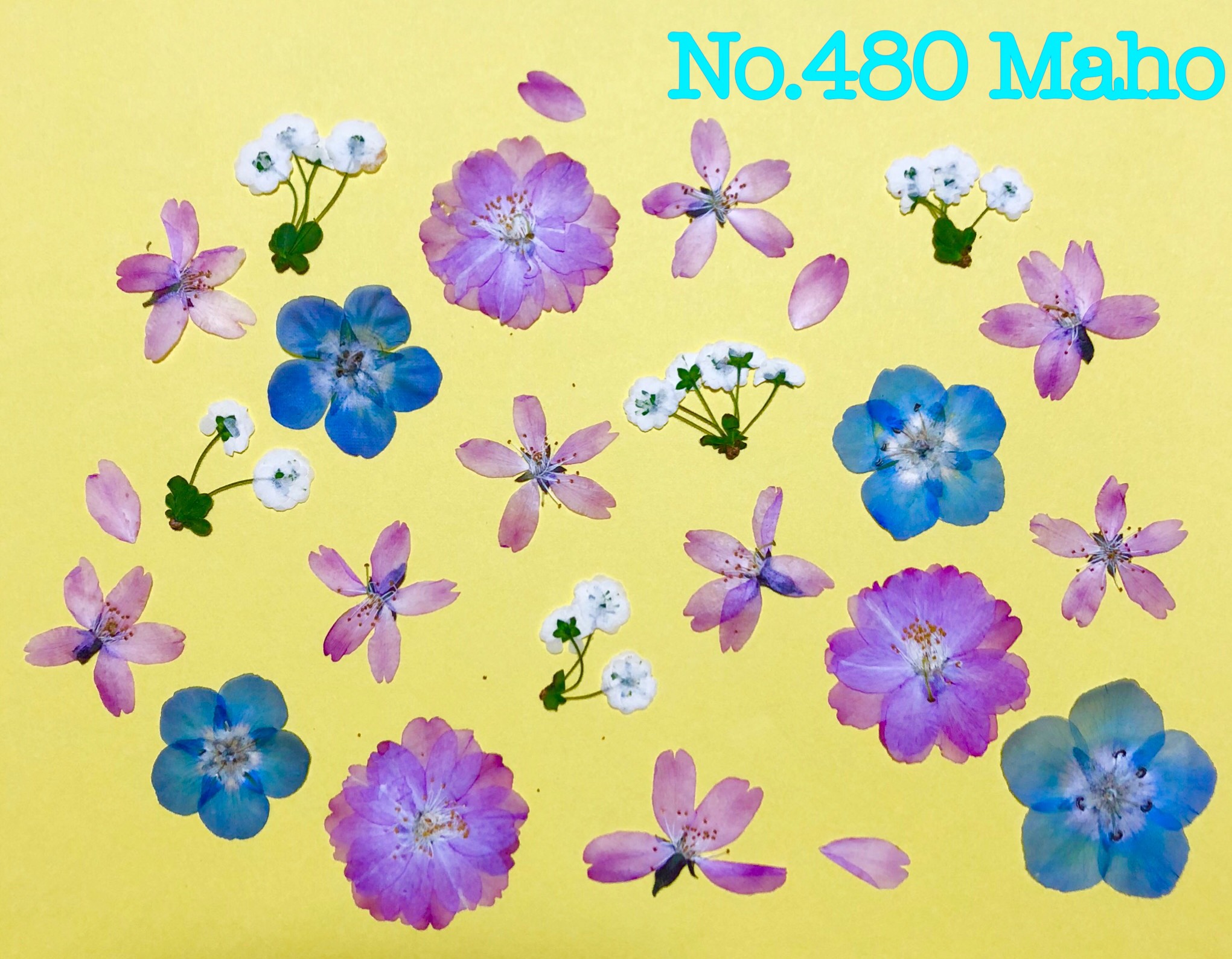 花乙女コレクション【押し花額　阿部とも　押し花・切手風】