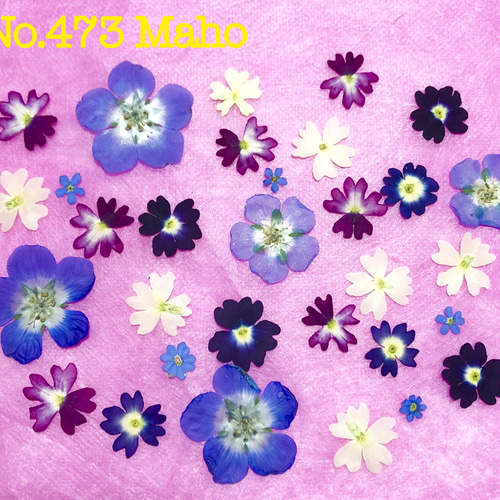 ♡押し花素材♡勿忘草、ネモフィラ、バーベナ♡ その他素材 Maho  