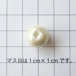  第2張的照片