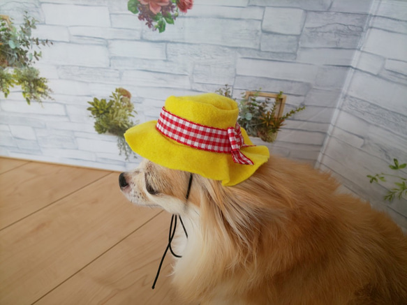 幸運の黄色い帽子（赤リボン）　ワンちゃん猫ちゃん用ハット　犬・猫帽子　小型犬 2枚目の画像