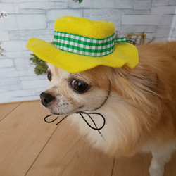 幸運の黄色い帽子（緑リボン）　ワンちゃん猫ちゃん用ハット　犬・猫帽子　小型犬 1枚目の画像