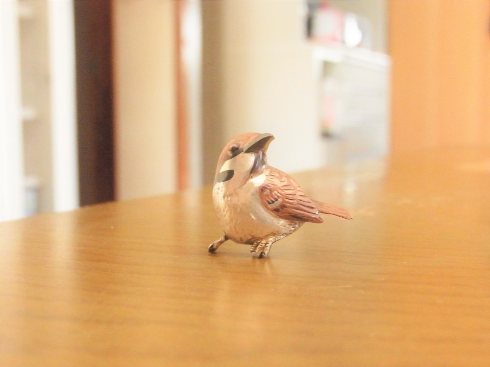 セミオーダ【すずめ】