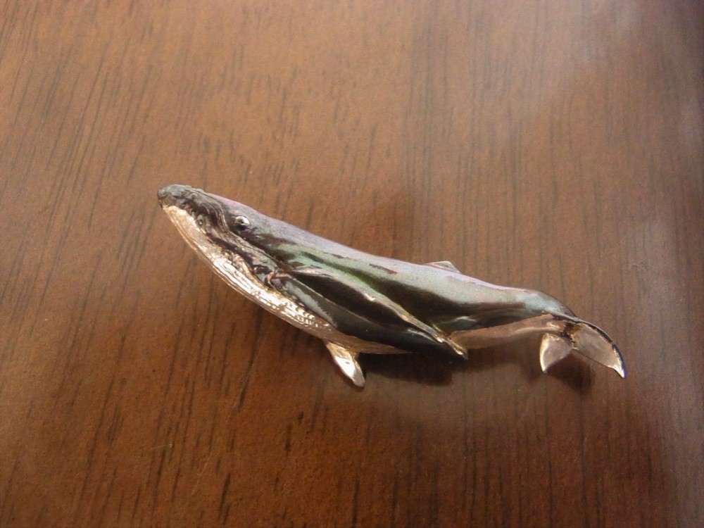 セミオーダ【ザトウクジラ(全体)】