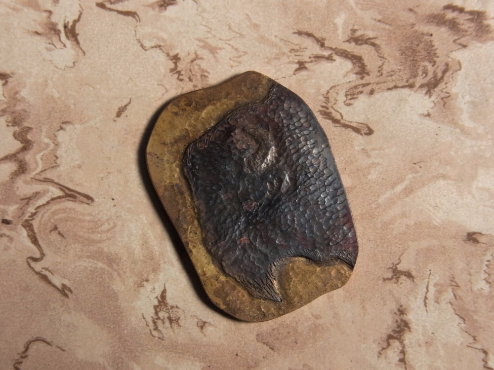 アメリカバイソン