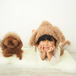 【poodle】Year of the dog ´s ear 1枚目の画像