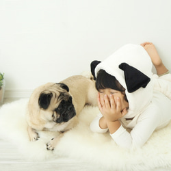 【pug】Year of the dog ´s ear 1枚目の画像