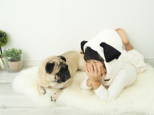 【pug】Year of the dog ´s ear 1枚目の画像