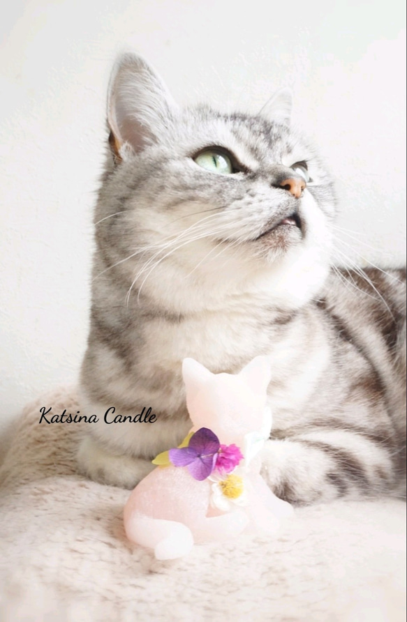 【ｷﾞﾌﾄBOX】Love&Peace Box  ～子猫とお花のサシェ＆幸せを運ぶ小鳥～ 9枚目の画像