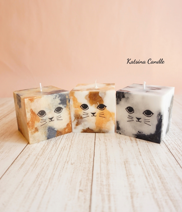 Cute cat cube 1枚目の画像